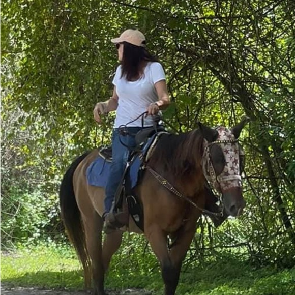 Meet your Posher, Victoria - Picture 5 of 13